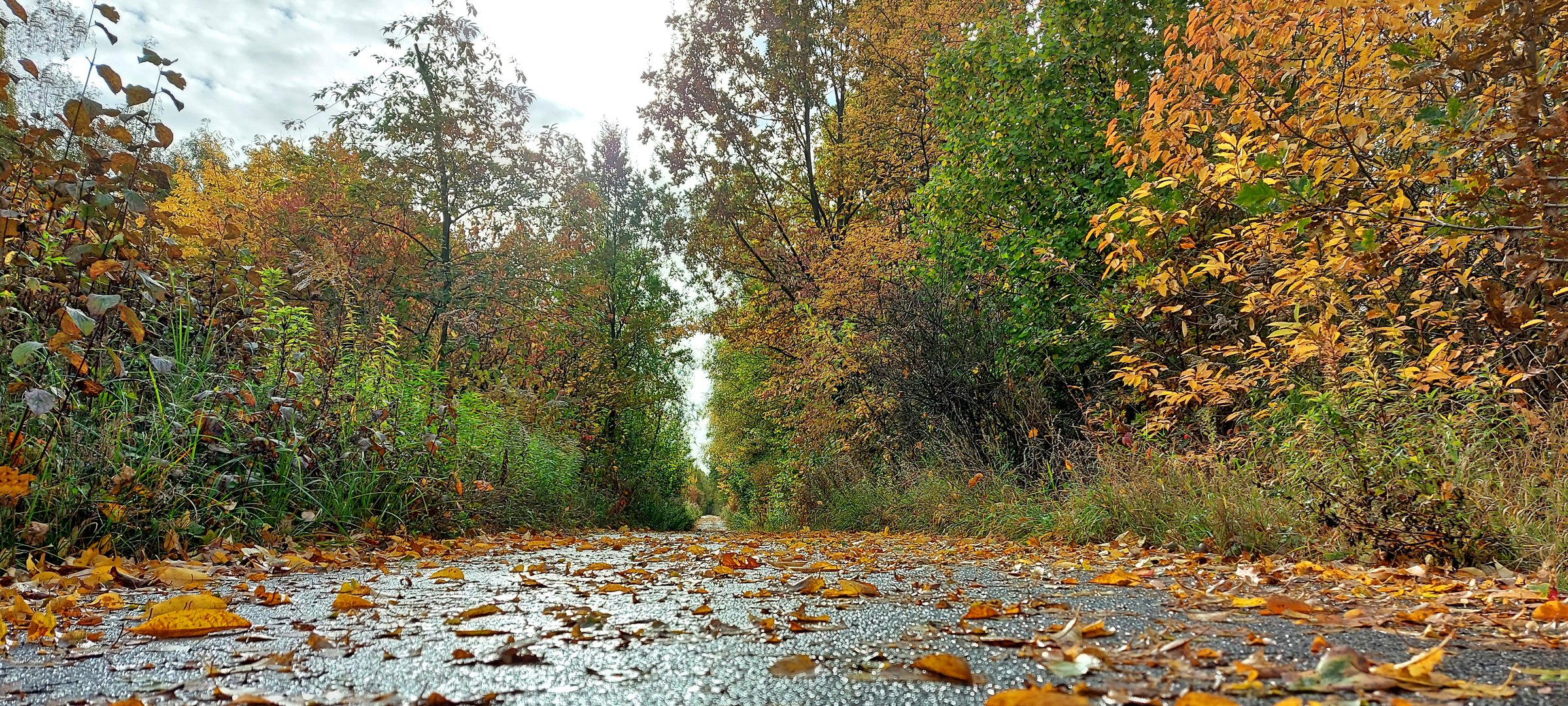 Herbstspaziergang