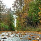 Herbstspaziergang