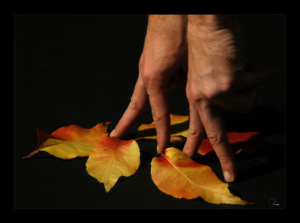 Herbstspaziergang