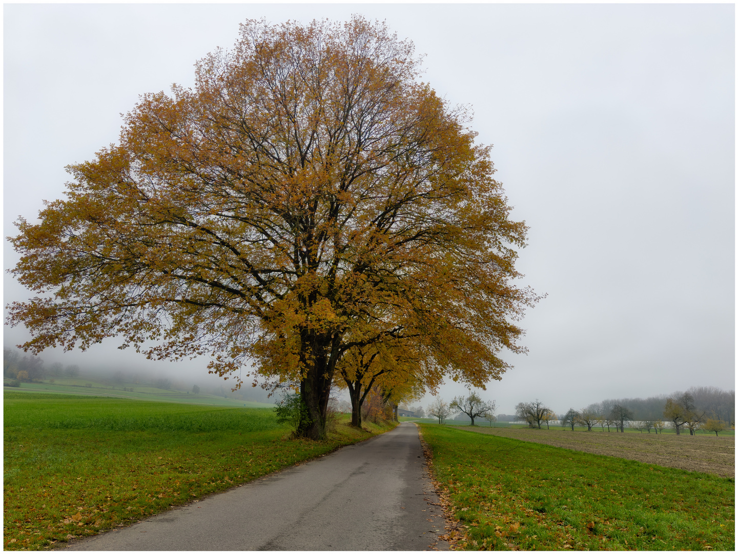 Herbstspaziergang