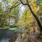 Herbstspaziergang