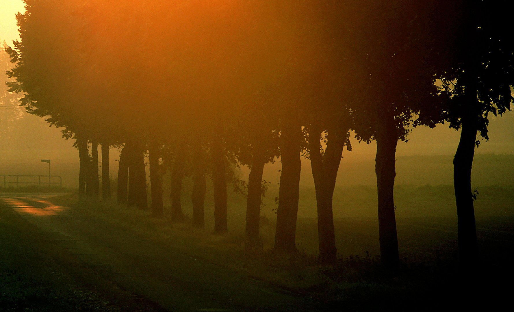 Herbstspaziergang