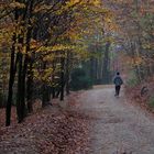 Herbstspaziergang