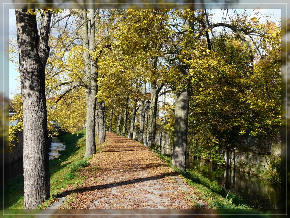 Herbstspaziergang