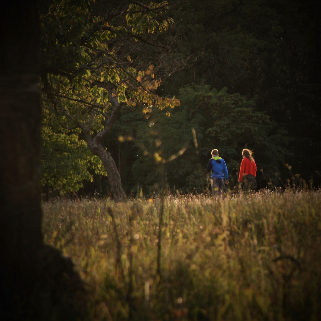 Herbstspaziergang