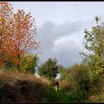 Herbstspaziergang