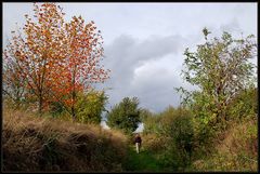 Herbstspaziergang