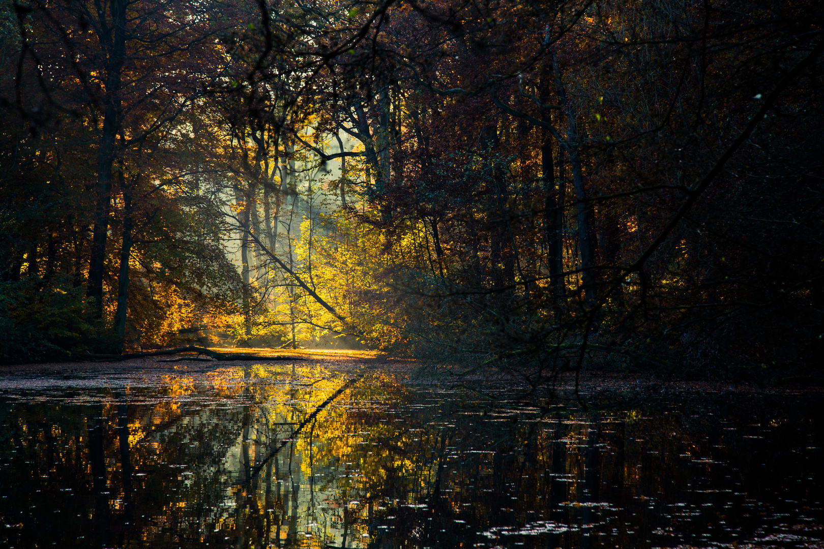 Herbstspaziergang...