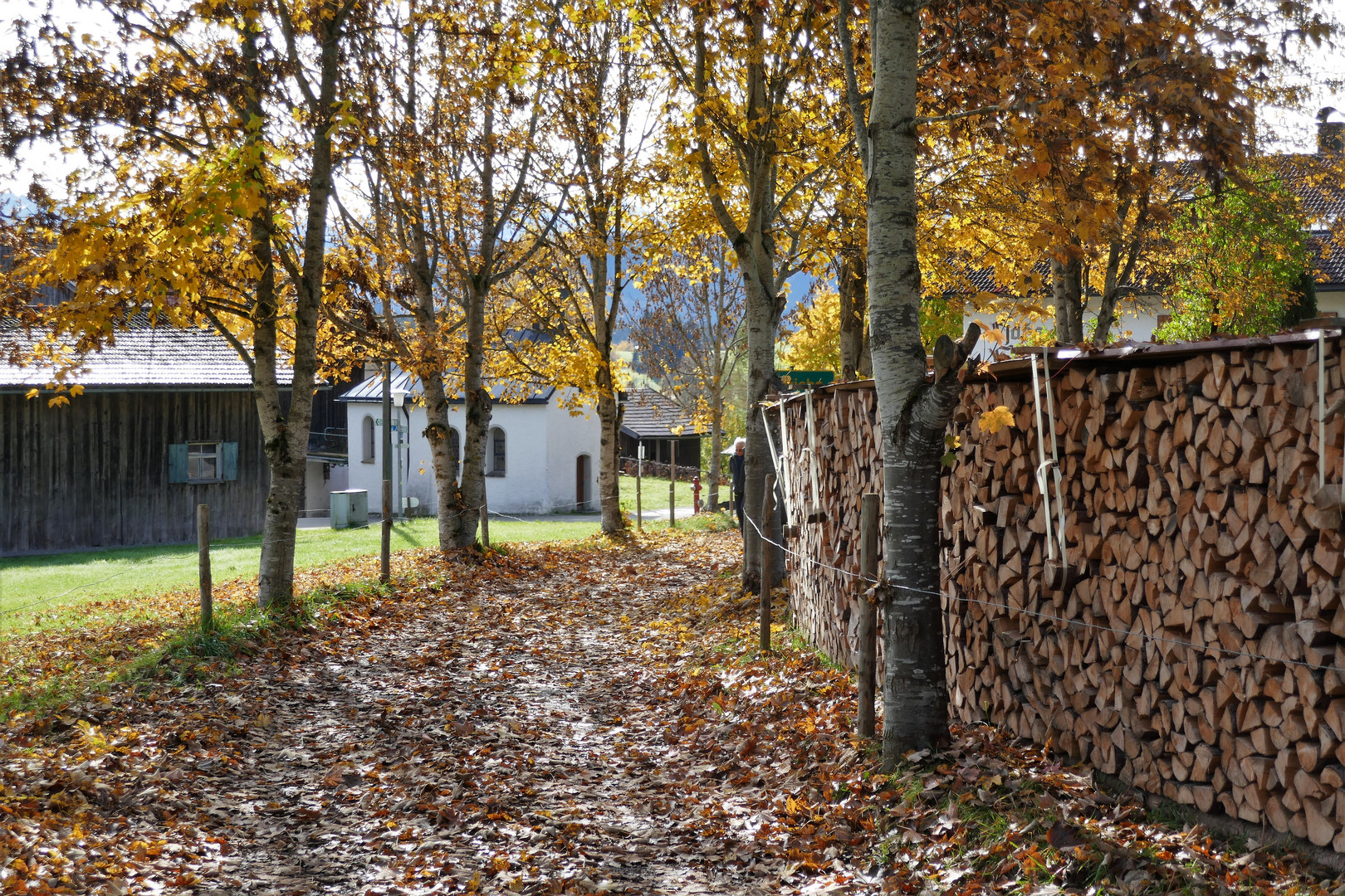 Herbstspaziergang bei Frühlingstemperaturen