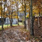 Herbstspaziergang bei Frühlingstemperaturen