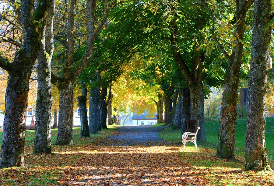 Herbstspaziergang