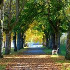 Herbstspaziergang