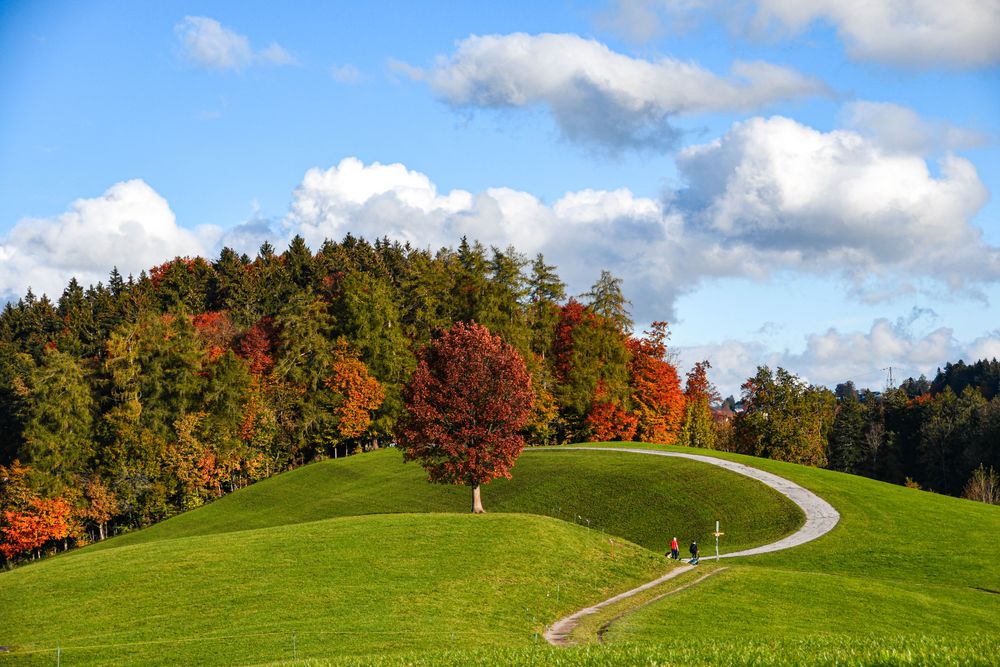 Herbstspaziergang