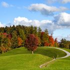 Herbstspaziergang