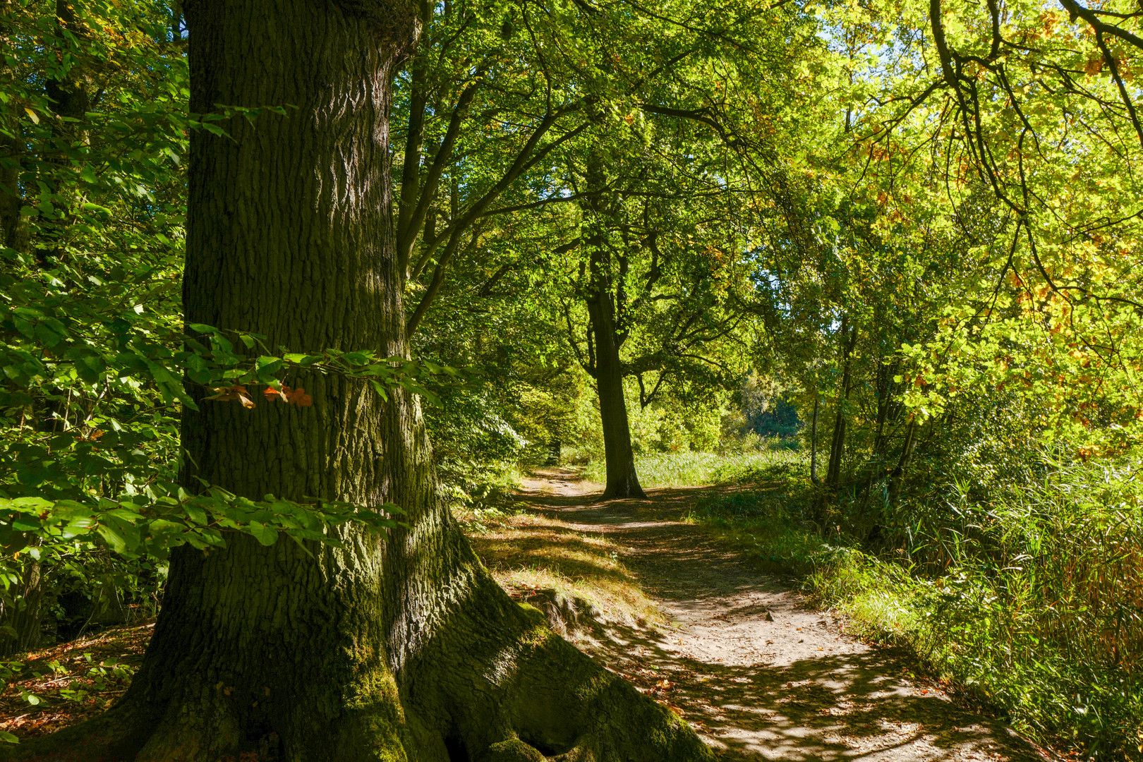 Herbstspaziergang