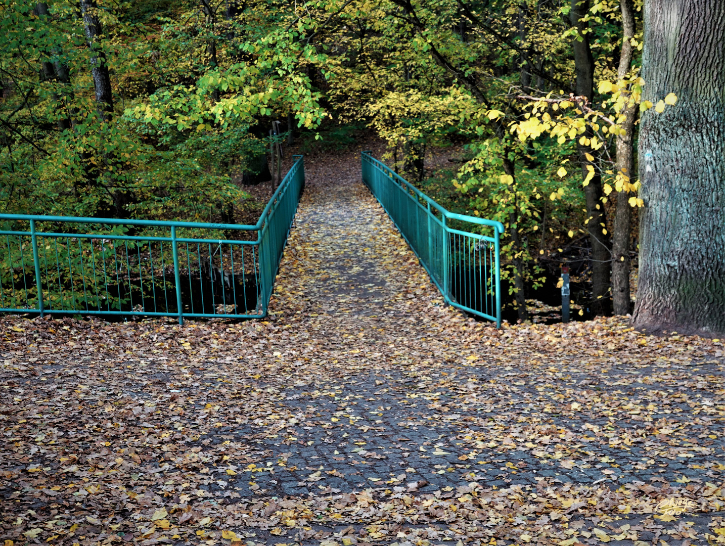 Herbstspaziergang