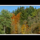 Herbstspaziergang Burgkirchen/Alz 01