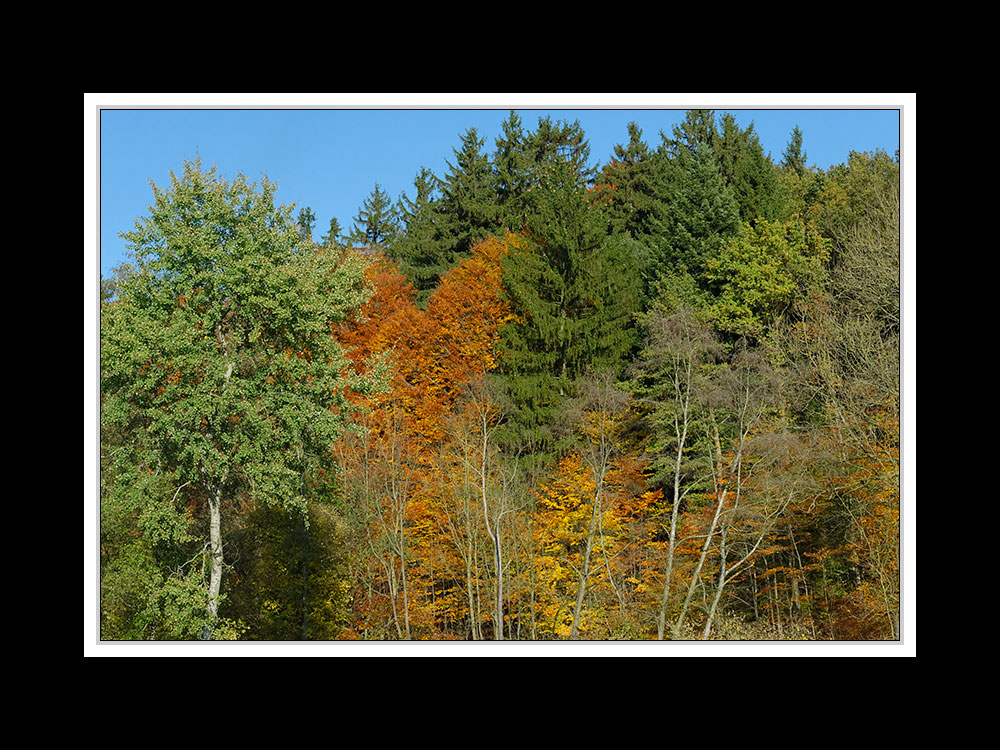 Herbstspaziergang Burgkirchen/Alz 01