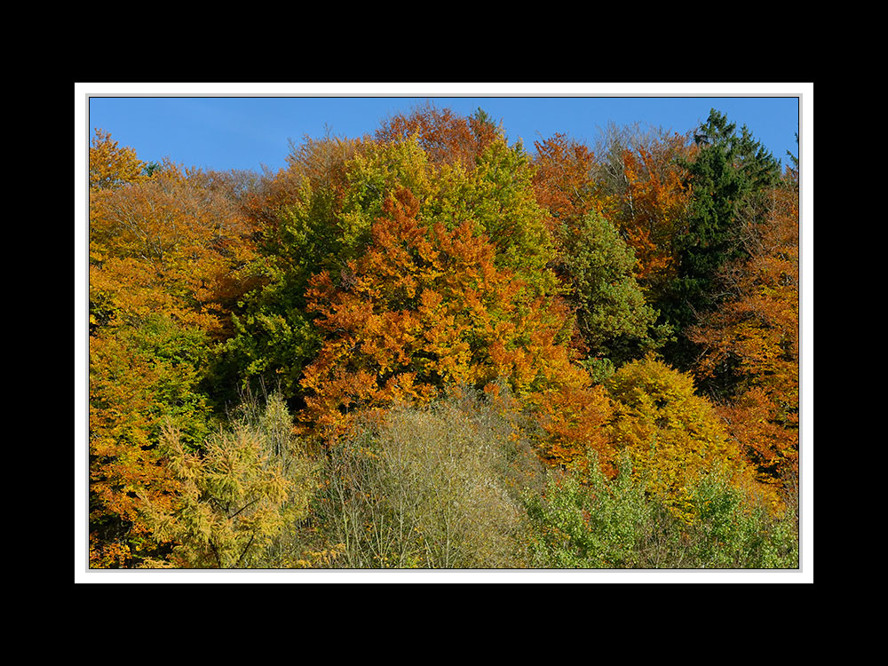 Herbstspaziergang Burgkirchen/Alz 02