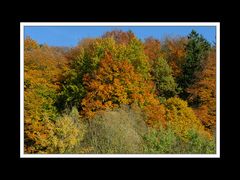 Herbstspaziergang Burgkirchen/Alz 02