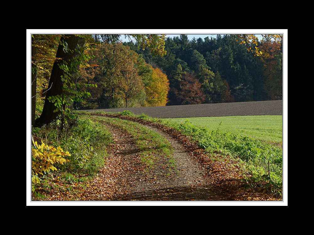 Herbstspaziergang Burgkirchen/Alz 03