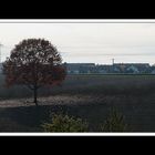 Herbstspaziergang Burgkirchen/Alz 04