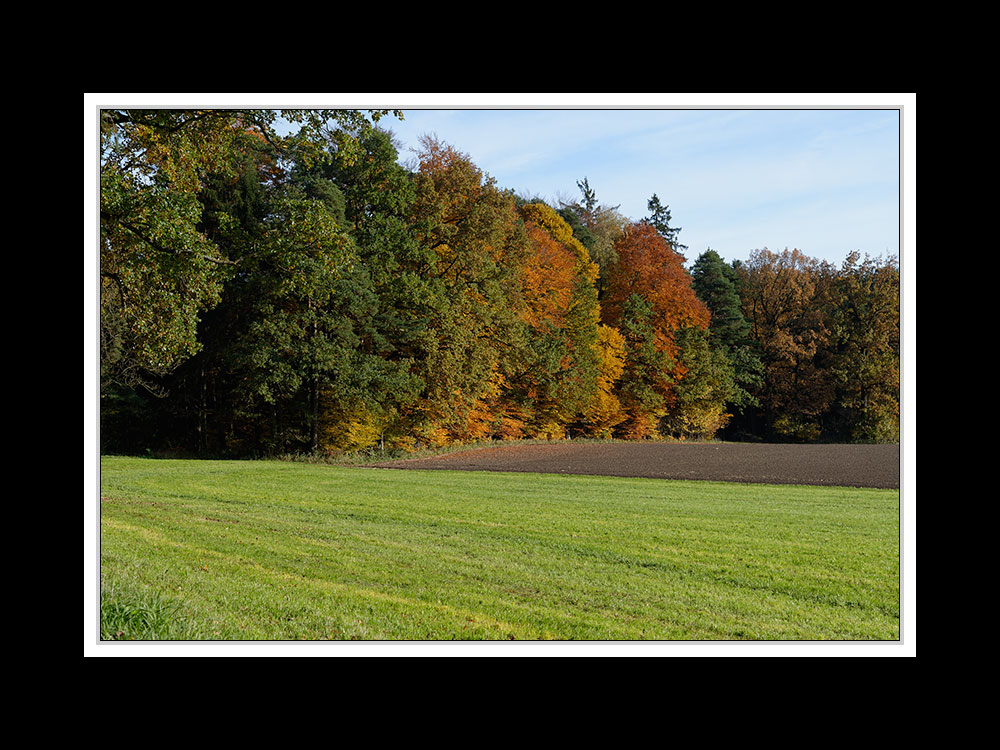 Herbstspaziergang Burgkirchen/Alz 05