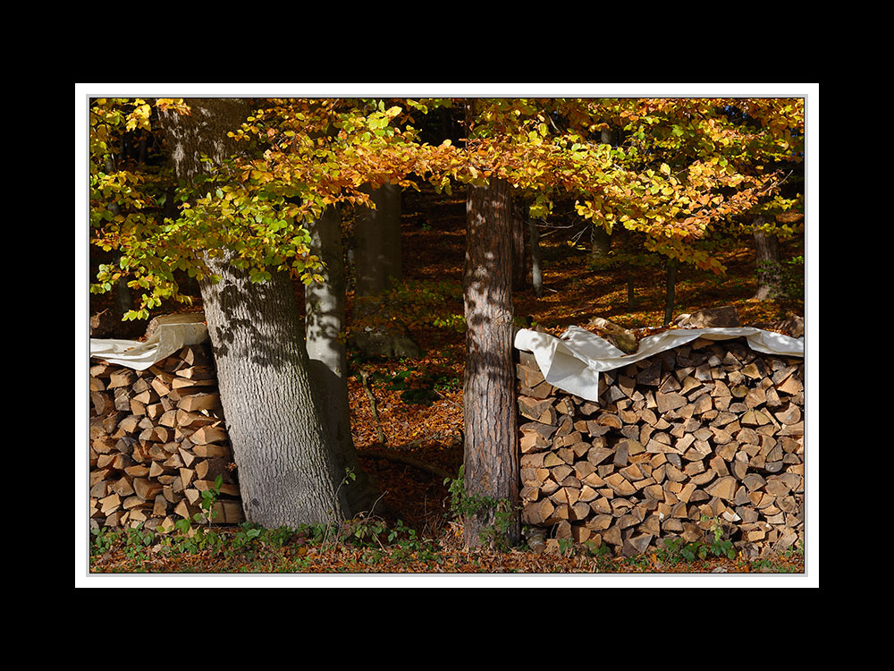 Herbstspaziergang Burgkirchen/Alz 12