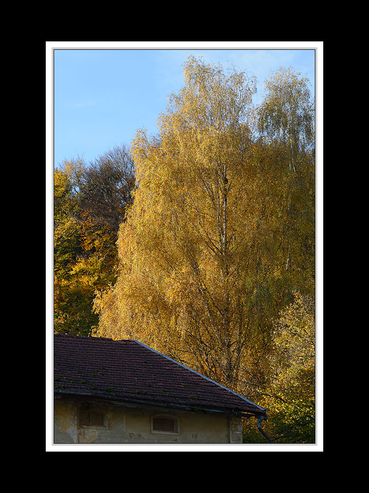 Herbstspaziergang Burgkirchen/Alz 13