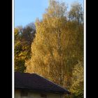 Herbstspaziergang Burgkirchen/Alz 13