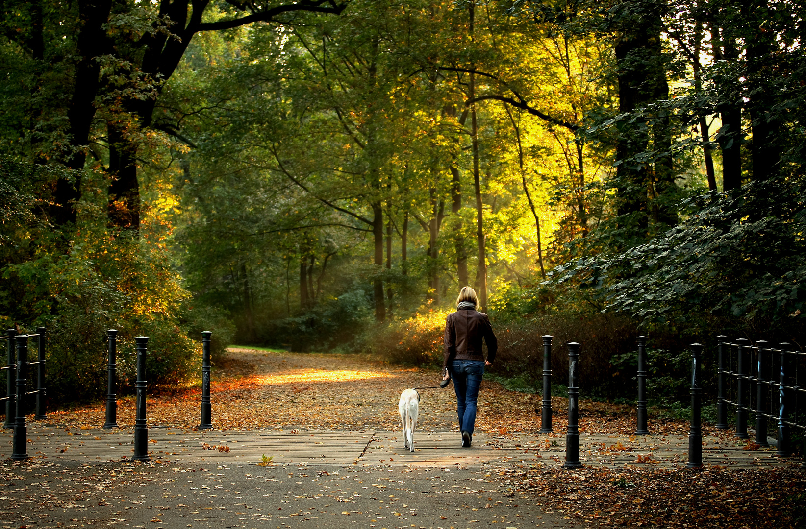 Herbstspaziergang