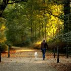 Herbstspaziergang