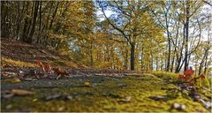 Herbstspaziergang