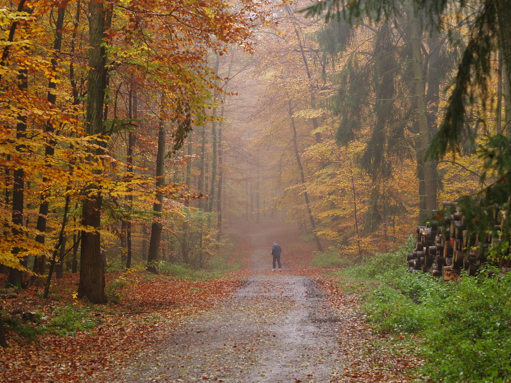 herbstspaziergang