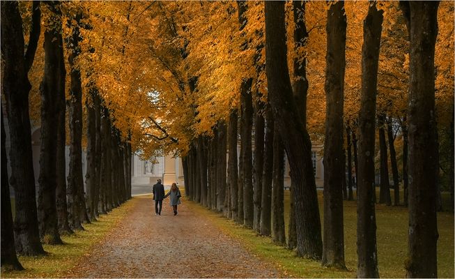 ...Herbstspaziergang...
