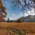 Herbstspaziergang