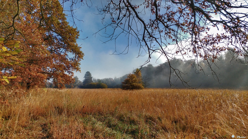 Herbstspaziergang