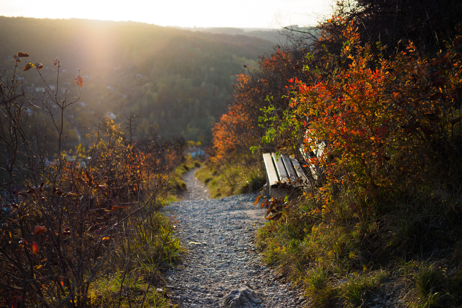 Herbstspaziergang