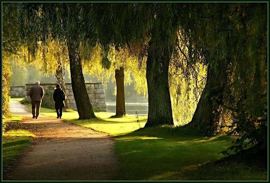 ::... herbstspaziergang ...::