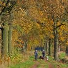 Herbstspaziergang