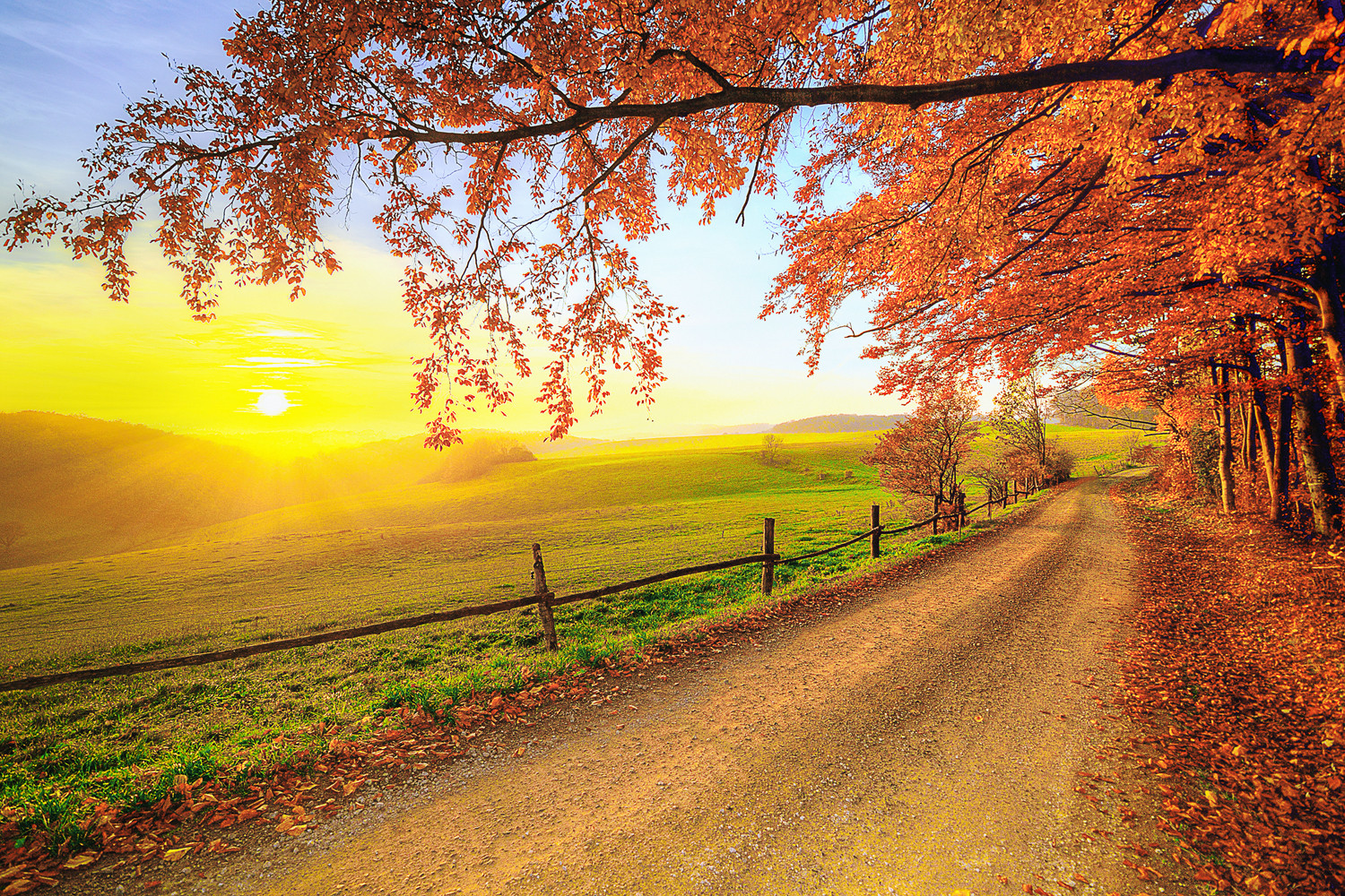 Herbstspaziergang