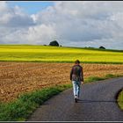 Herbstspaziergang