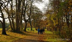 Herbstspaziergang