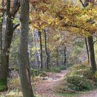 herbstspaziergang