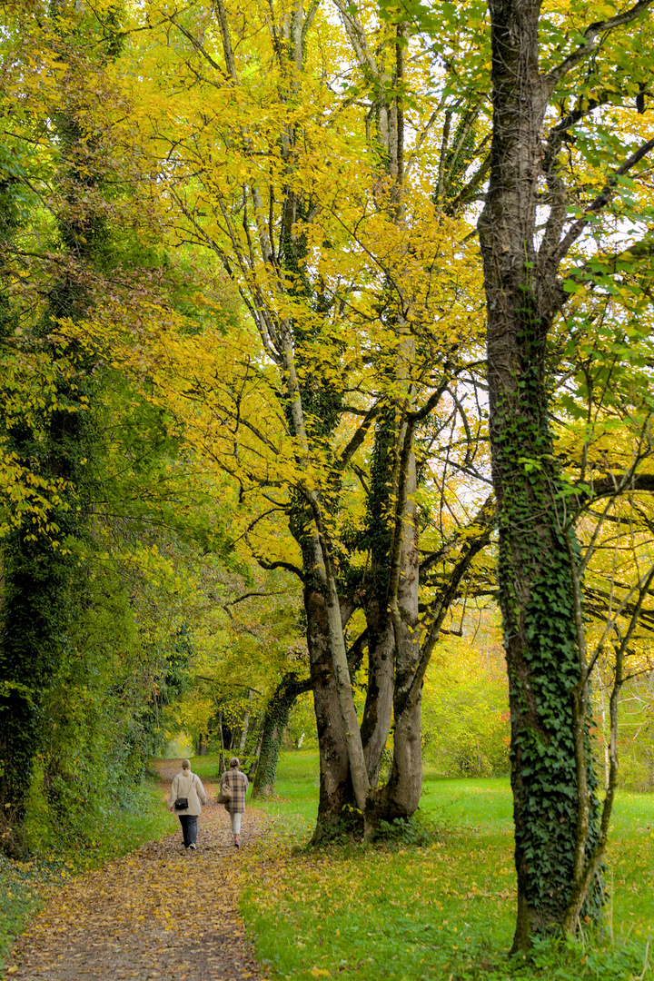 Herbstspaziergang