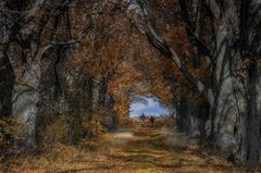 Herbstspaziergang