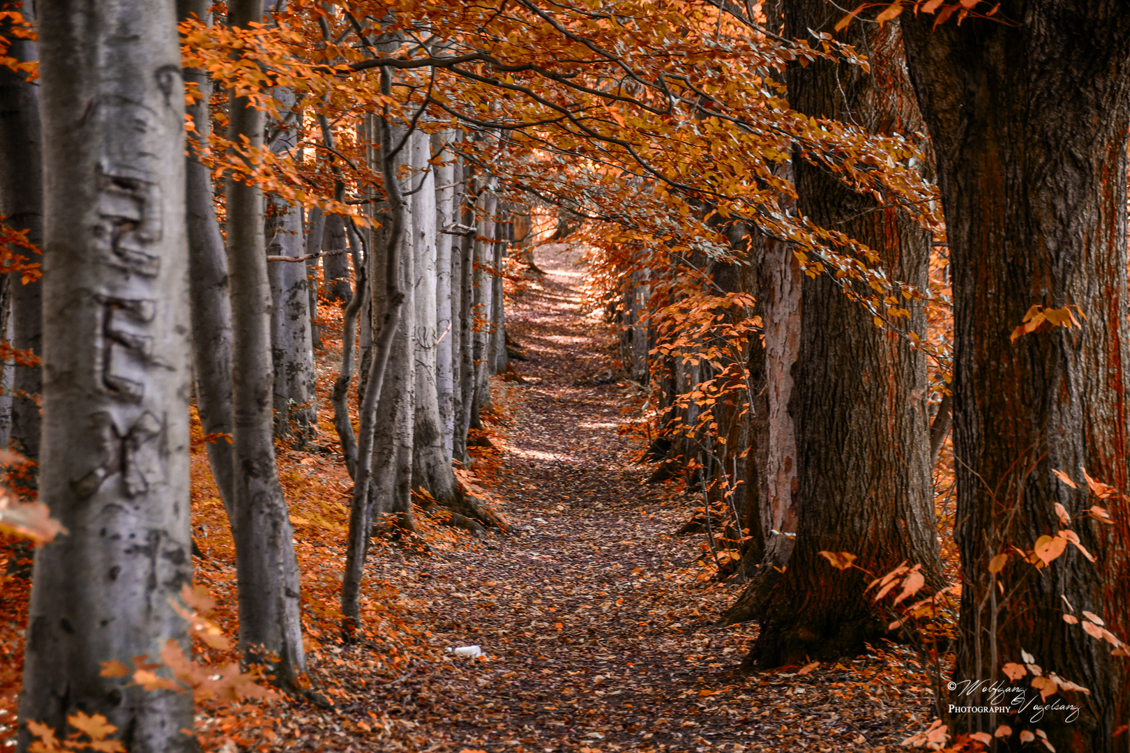 Herbstspaziergang