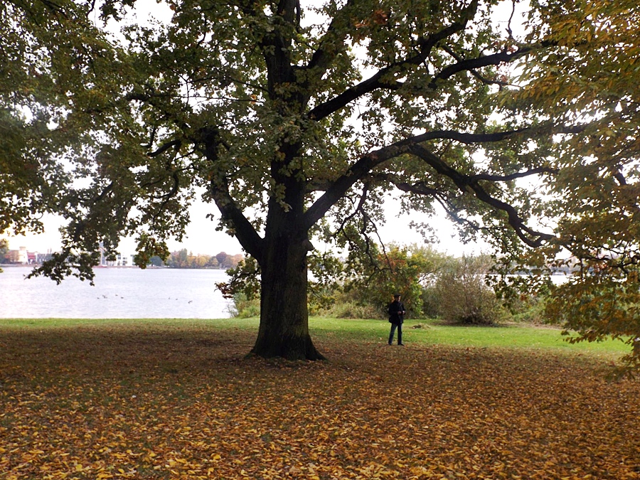 Herbstspaziergang