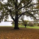 Herbstspaziergang