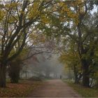 Herbstspaziergang